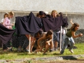 IMG02_21