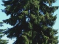 IMG02_48