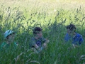 SEJC_049