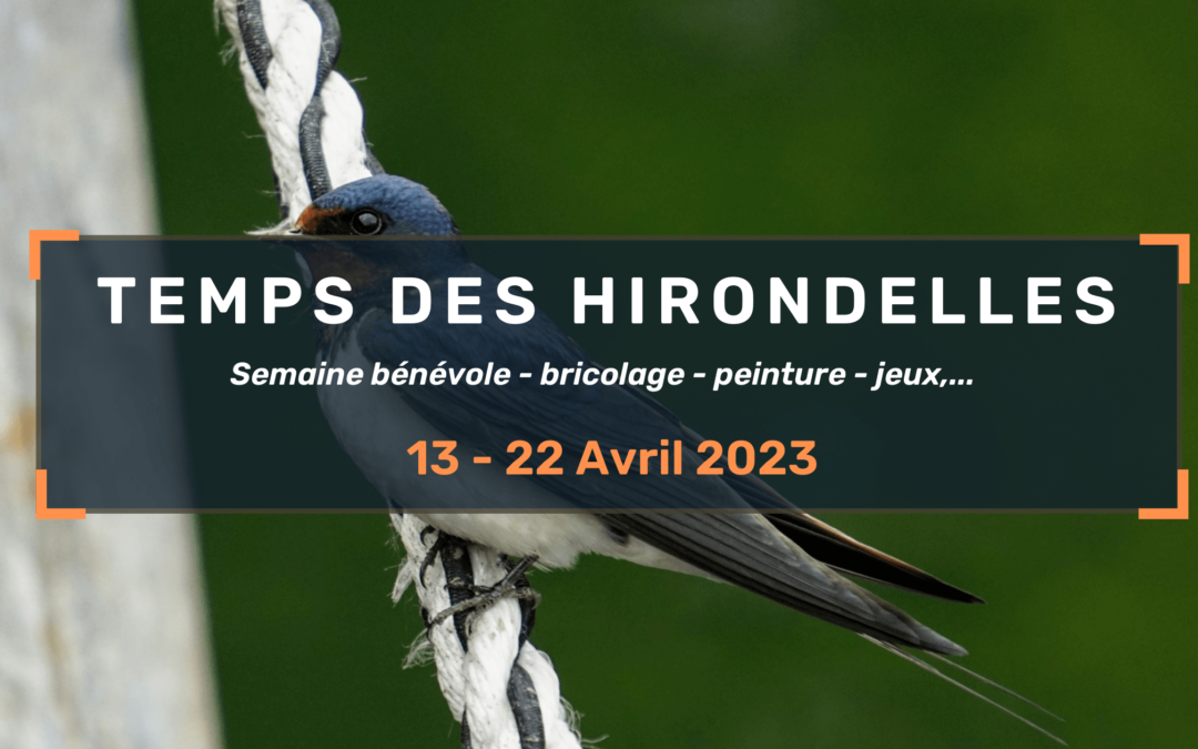Temps des Hirondelles 2023 13-22 Avril – Invitation