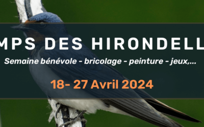 Semaine bénévole (18-27 avril 2024) – Temps des hirondelles