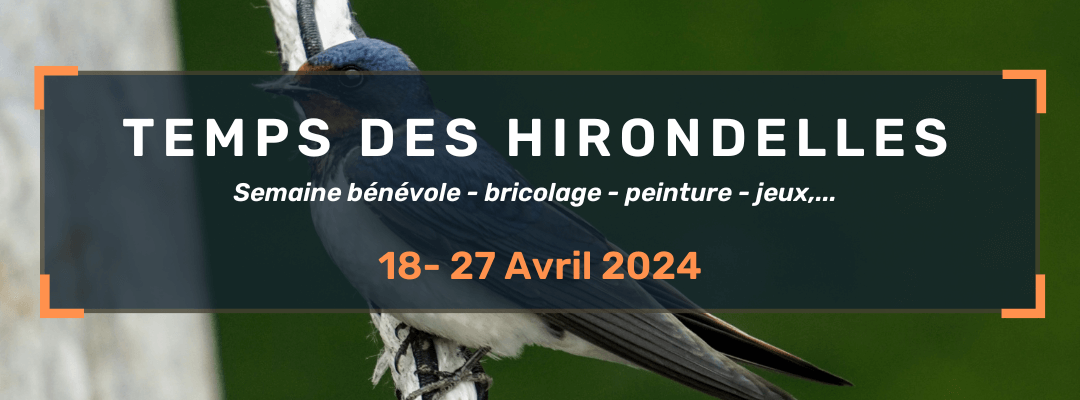 Semaine bénévole (18-27 avril 2024) – Temps des hirondelles