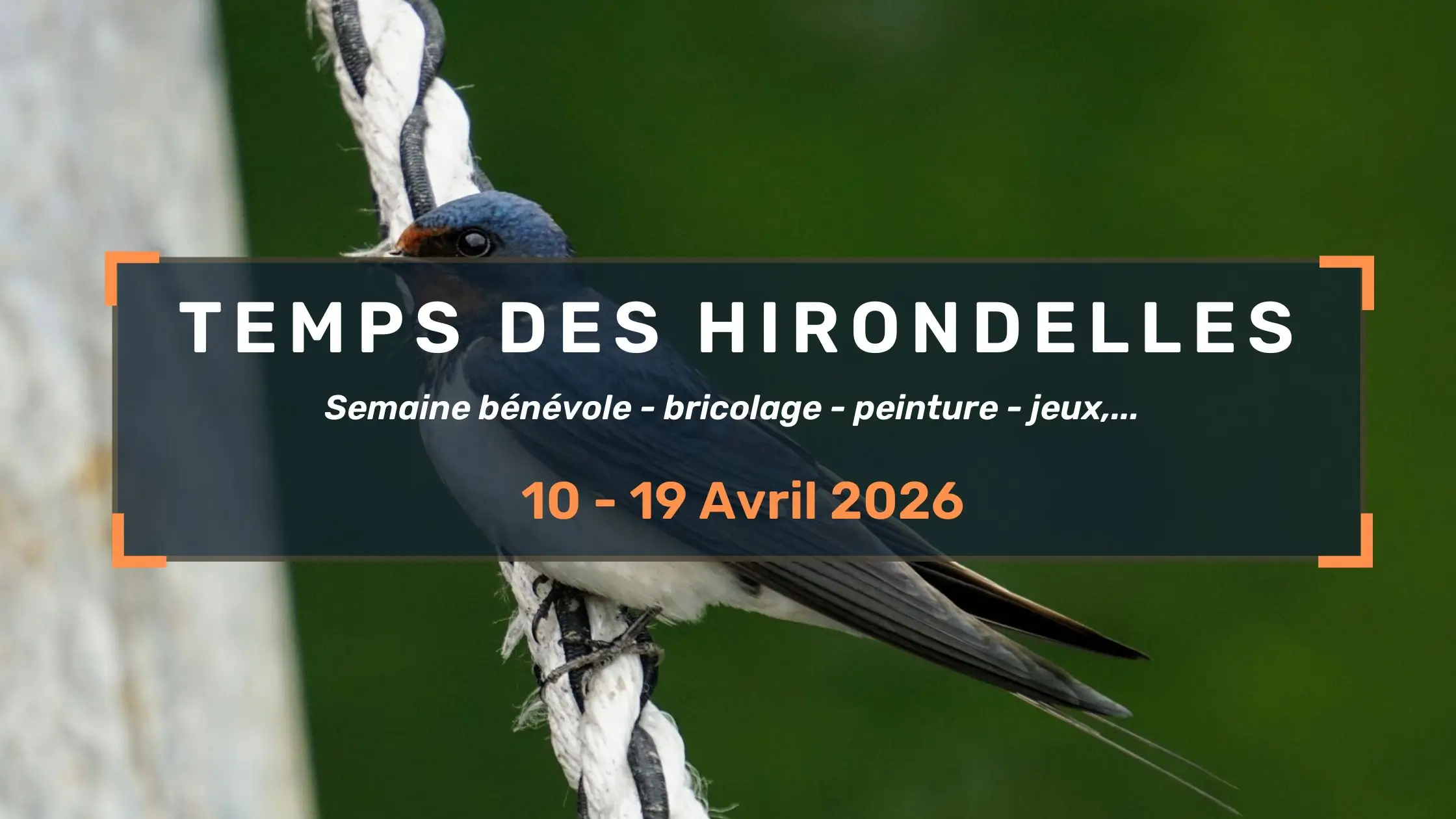 Semaine bricolage du Temps des Hirondelles 2026